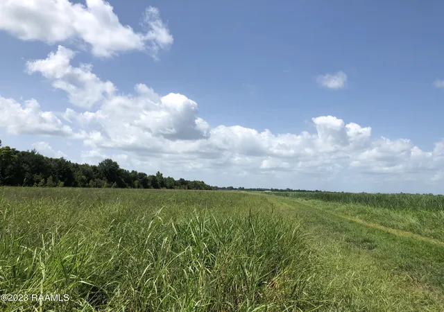 5th image of Tbd Trahan & Crochet Rd, New Iberia, LA 70563 | MLS# 2600000580