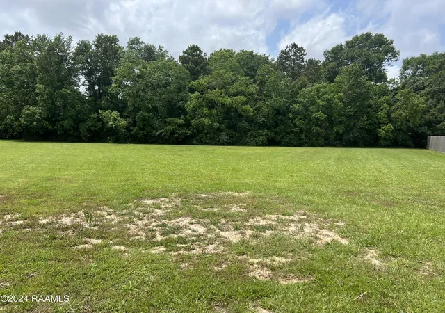 Homes for sale in Jennings, LA | 0 Englewood Dr, Jennings, LA 70546 | MLS# 24004583