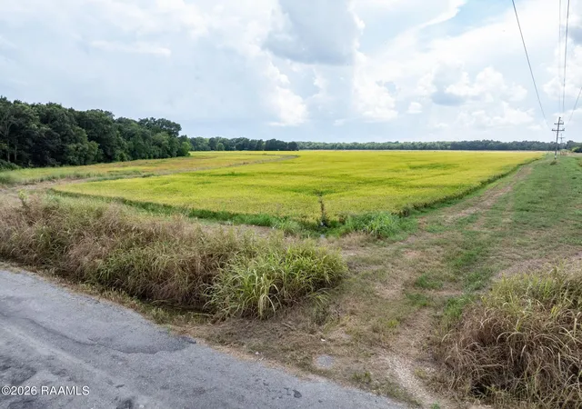 Photo 1 of Land for sale at Tbd Leger Rd, Crowley, LA 70526 | MLS# 2600006426 | Listing updated on 2026-09-02