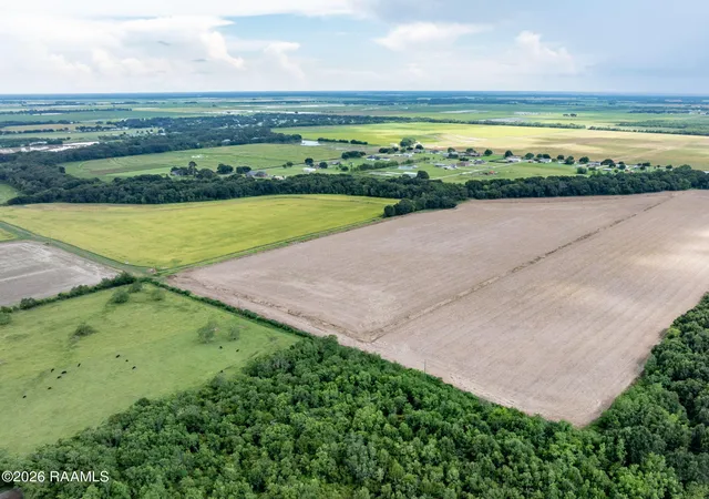 Photo 9 of Land for sale at Tbd Leger Rd, Crowley, LA 70526 | MLS# 2600006426 | Listing updated on 2026-09-02