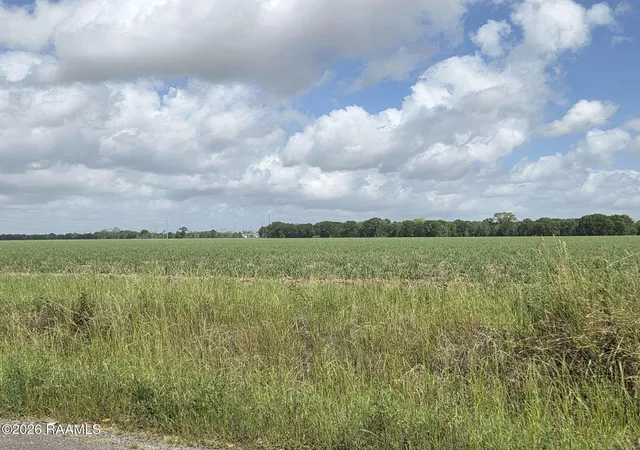 3rd image of 1055 Sidney Charles Rd, Opelousas, LA 70570 | MLS# 2600003747