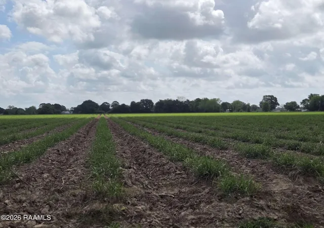 7th image of 1055 Sidney Charles Rd, Opelousas, LA 70570 | MLS# 2600003747