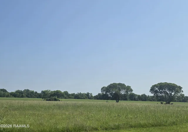 Homes for sale in Alexandria, LA | 0 La Hwy 457, Alexandria, LA 71302 | MLS# 2600004877