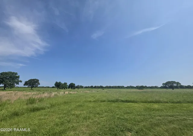 Photo 3 of Land for sale at 0 La Hwy 457, Alexandria, LA 71302 | MLS# 2600004877 | Listing updated on 2026-08-01