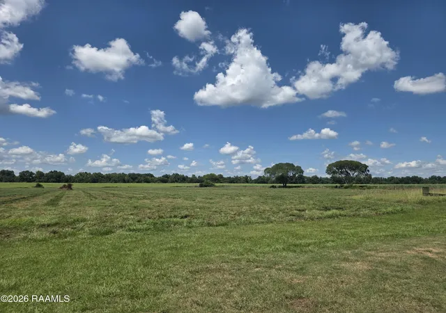 Photo 8 of Land for sale at 0 La Hwy 457, Alexandria, LA 71302 | MLS# 2600004877 | Listing updated on 2026-08-01