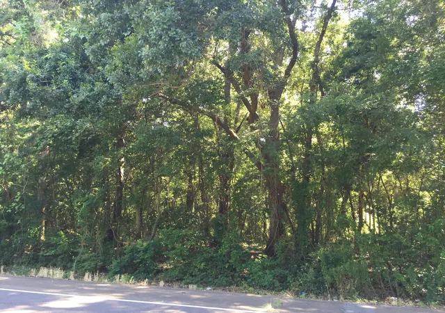 1st image of 5000 W Old Spanish Trl, New Iberia, LA 70560 | MLS# 16007040