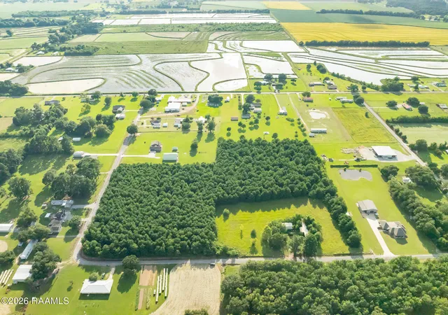 Photo 3 of Land for sale at Tract C Birch Dr, Iota, LA 70543 | MLS# 2600006975 | Listing updated on 2026-07-29