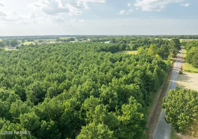 Photo 4 of Land for sale at Tract C Birch Dr, Iota, LA 70543 | MLS# 2600006975 | Listing updated on 2026-07-29