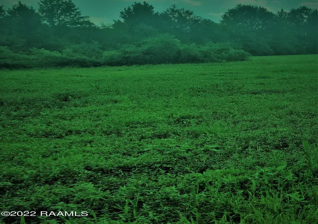 3rd image of Tbd La 10, Opelousas, LA 70570 | MLS# 22008522