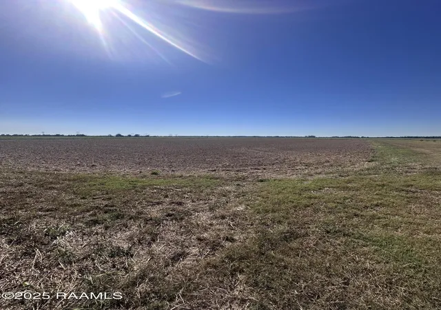 Photo 7 of Land for sale at Tbd Blacksmith Rd, Church Point, LA 70525 | MLS# 2500004732 | Listing updated on 2026-07-27