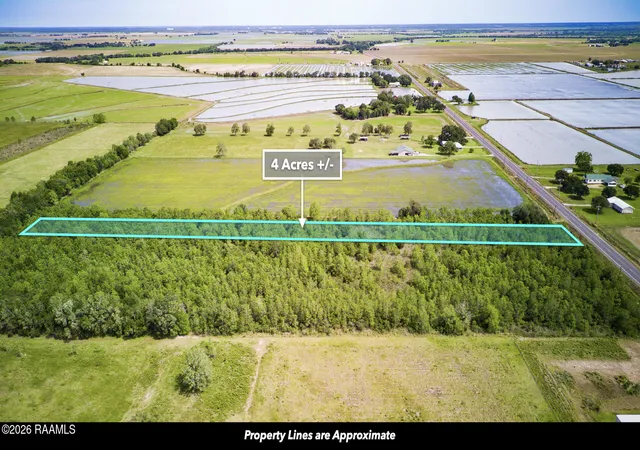 Homes for sale in Crowley, LA | 1 Louisiana #13, Crowley, LA 70526 | MLS# 2600004077