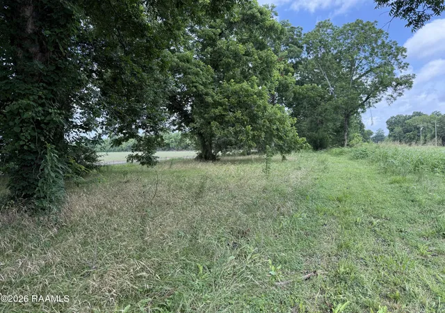 Homes for sale in Arnaudville, LA | Tbd Seven Arpents Rd, Arnaudville, LA 70512 | MLS# 2600005784