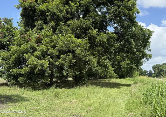 Homes for sale in Arnaudville, LA | Tbd Seven Arpents Rd, Arnaudville, LA 70512 | MLS# 2600005784