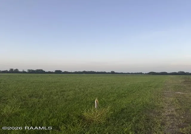 Photo 1 of Land for sale at La 31 #1-A-5-A, Arnaudville, LA 70512 | MLS# 2600006584 | Listing updated on 2026-07-20