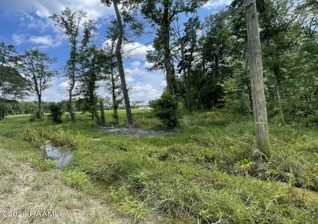 Photo 14 of Sale Pending at Tract Ek 1 Springfield Rd, Walker, LA 70785 | MLS# 2600006059 | Listing updated on 2026-09-04