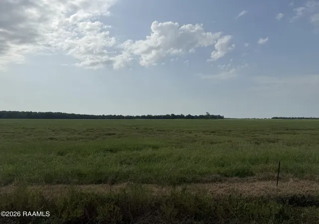 Photo 1 of Sale Pending at Tbd Whiteville Tract 9 Rd, Ville Platte, LA 70586 | MLS# 2600006743 | Listing updated on 2026-08-10