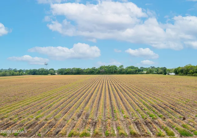 Photo 8 of Sale Pending at Tbd S Guegnon St, Abbeville, LA 70510 | MLS# 2600007932 | Listing updated on 2026-09-01