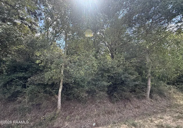 Photo 2 of Land for sale at Galou Lake Rd, Mamou, LA 70554 | MLS# 2600008165 | Listing updated on 2026-08-31