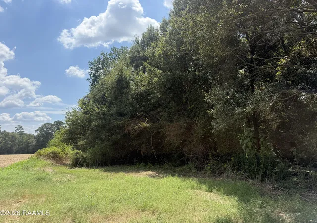 Photo 3 of Land for sale at Galou Lake Rd, Mamou, LA 70554 | MLS# 2600008165 | Listing updated on 2026-08-31