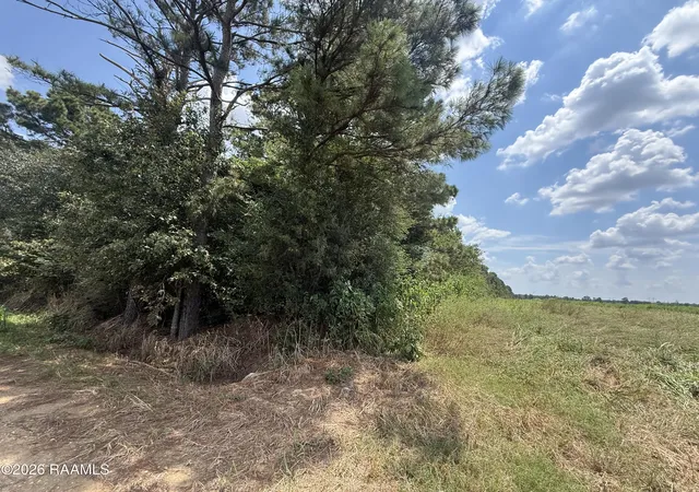 Photo 4 of Land for sale at Galou Lake Rd, Mamou, LA 70554 | MLS# 2600008165 | Listing updated on 2026-08-31