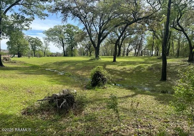 15th image of 8301 River Rd, Abbeville, LA 70510 | MLS# 2020022009