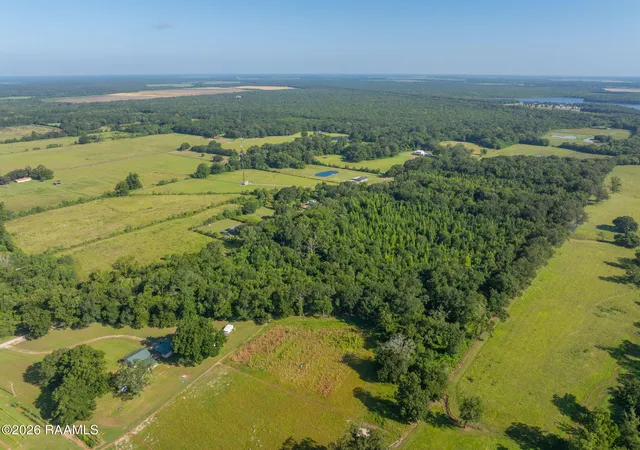 Photo 3 of Land for sale at Heard Sylvester Rd, Washington, LA 70589 | MLS# 25001478 | Listing updated on 2026-08-03
