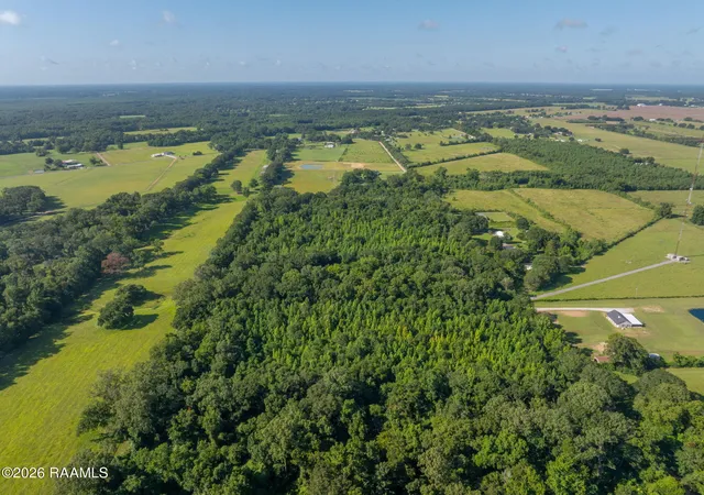 Photo 4 of Land for sale at Heard Sylvester Rd, Washington, LA 70589 | MLS# 25001478 | Listing updated on 2026-08-03
