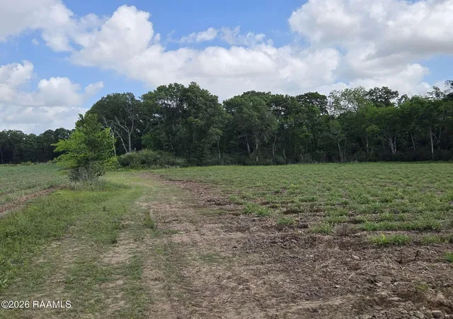 4th image of 991 Sidney Charles Rd, Opelousas, LA 70570 | MLS# 2600003745