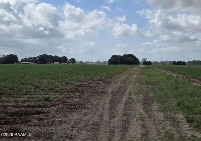 5th image of 991 Sidney Charles Rd, Opelousas, LA 70570 | MLS# 2600003745