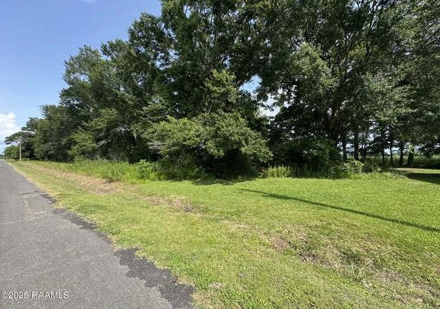 Homes for sale in St. Martinville, LA | Tbd Orphe Rd #34 & 35, St. Martinville, LA 70582 | MLS# 2500000234