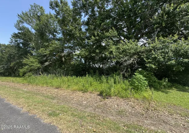 Photo 3 of Land for sale at Tbd Orphe Rd #34 & 35, Saint Martinville, LA 70582 | MLS# 2500000234 | Listing updated on 2026-06-30
