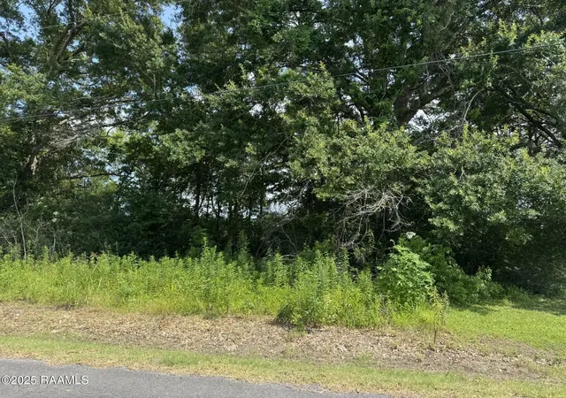 Photo 3 of Land for sale at Tbd Orphe Rd #34 & 35, Saint Martinville, LA 70582 | MLS# 2500000234 | Listing updated on 2026-06-30