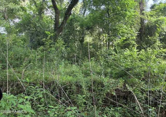 2nd image of 2480 Savoy Rd, Youngsville, LA 70592 | MLS# 2600005687