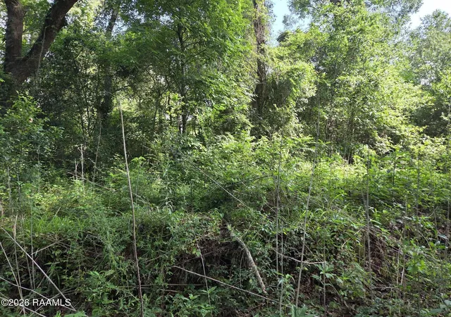 Photo 3 of Land for sale at 2480 Savoy Rd, Youngsville, LA 70592 | MLS# 2600005687 | Listing updated on 2026-06-26