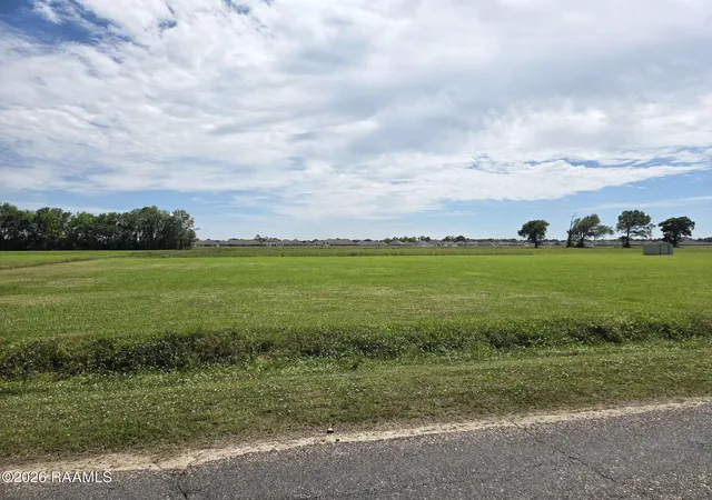 Homes for sale in Maurice, LA | L 3 Soop Rd, Maurice, LA 70555 | MLS# 24003850