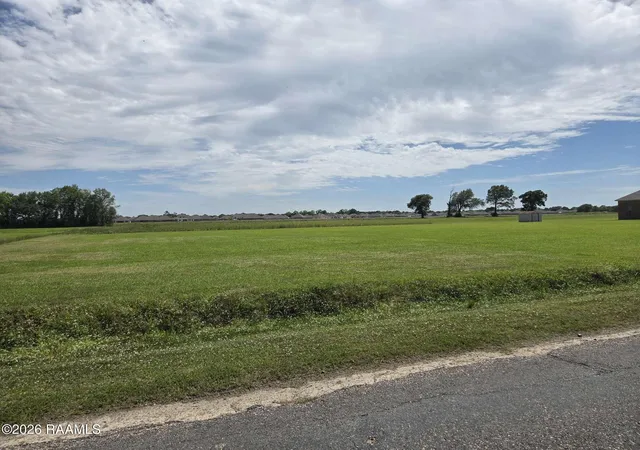 Homes for sale in Maurice, LA | L-3 Soop Rd, Maurice, LA 70555 | MLS# 24003850