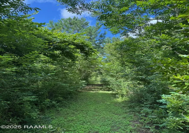 Photo 2 of Land for sale at Tbd Lot 3 Frozard Rd #3, Arnaudville, LA 70512 | MLS# 2600007596 | Listing updated on 2026-08-16