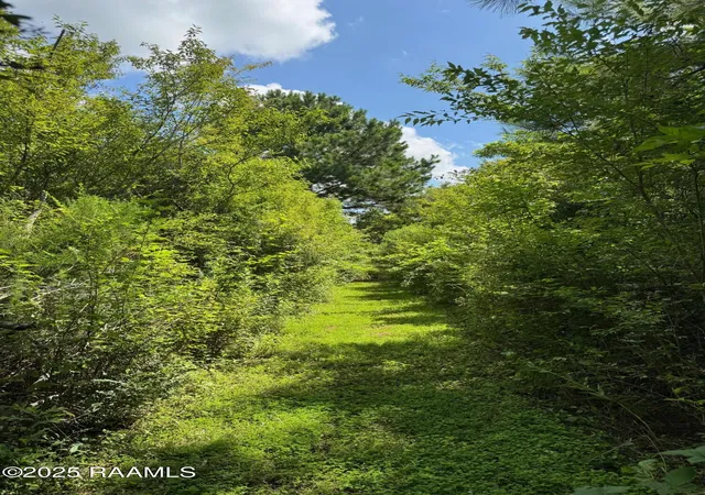 Photo 3 of Land for sale at Tbd Lot 3 Frozard Rd #3, Arnaudville, LA 70512 | MLS# 2600007596 | Listing updated on 2026-08-16