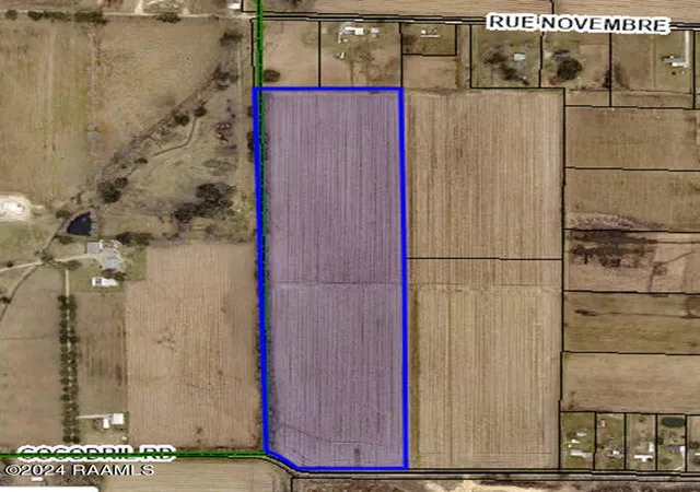 1st image of 920 Cocodril Rd, Scott, LA 70583 | MLS# 22006198