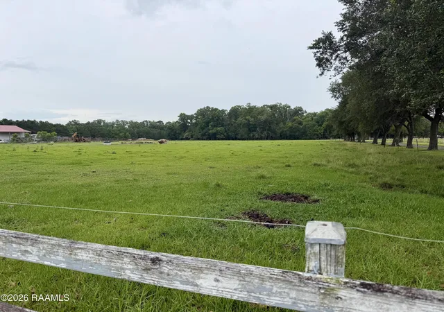 Homes for sale in Eunice, LA | Tbd Eunice Iota Hwy, Eunice, LA 70535 | MLS# 2600004508