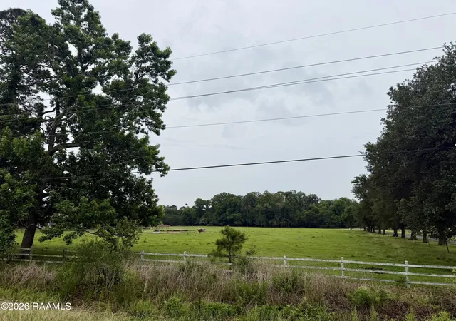 Homes for sale in Eunice, LA | Tbd Eunice Iota Hwy, Eunice, LA 70535 | MLS# 2600004508