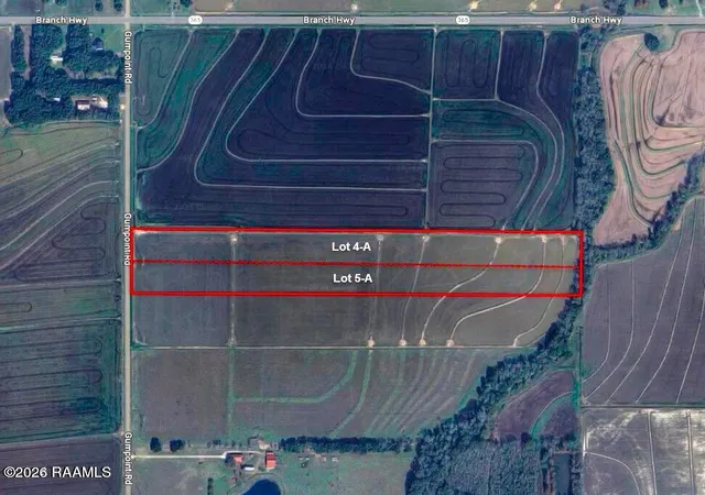 Photo 1 of Land for sale at 000 Gumpoint Rd, Branch, LA 70516 | MLS# 2600002998 | Listing updated on 2026-06-18