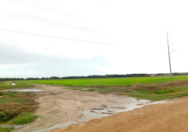 Photo 2 of Land for sale at 000 Gumpoint Rd, Branch, LA 70516 | MLS# 2600002998 | Listing updated on 2026-06-18