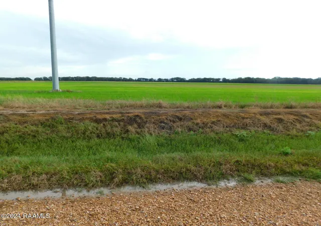 Photo 4 of House for sale at 000 Gumpoint Rd, Branch, LA 70516 | MLS# 2600002998 | Listing updated on 2026-06-18