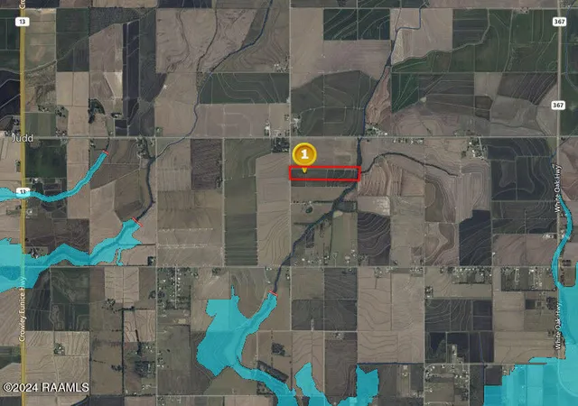 Photo 7 of Land for sale at 000 Gumpoint Rd, Branch, LA 70516 | MLS# 2600002998 | Listing updated on 2026-06-18