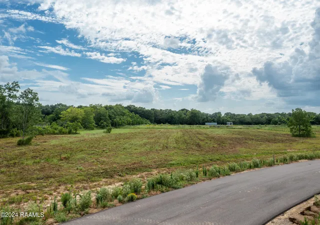 Photo 3 of Land for sale at Tbd Little Fish Ln #38, Sunset, LA 70584 | MLS# 24009764 | Listing updated on 2026-01-12