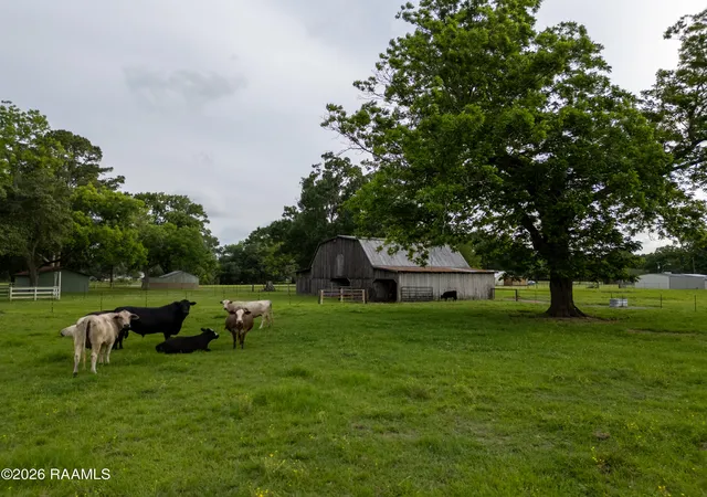 3rd image of 818 Saint Esprit Rd, Carencro, LA 70520 | MLS# 2600004409