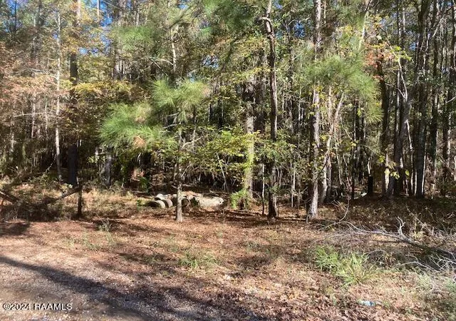 Photo 1 of Land for sale at Landry Ln, Eunice, LA 70535 | MLS# 24000027 | Listing updated on 2026-07-01