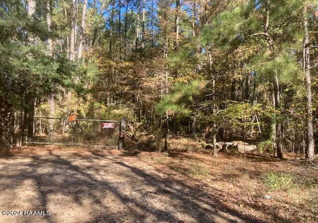 Photo 2 of Land for sale at Landry Ln, Eunice, LA 70535 | MLS# 24000027 | Listing updated on 2026-07-01