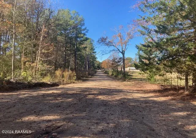 Photo 3 of Land for sale at Landry Ln, Eunice, LA 70535 | MLS# 24000027 | Listing updated on 2026-07-01